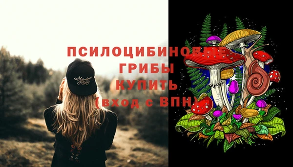 круглые Аркадак