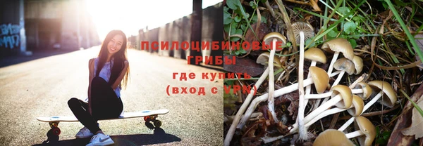 круглые Аркадак